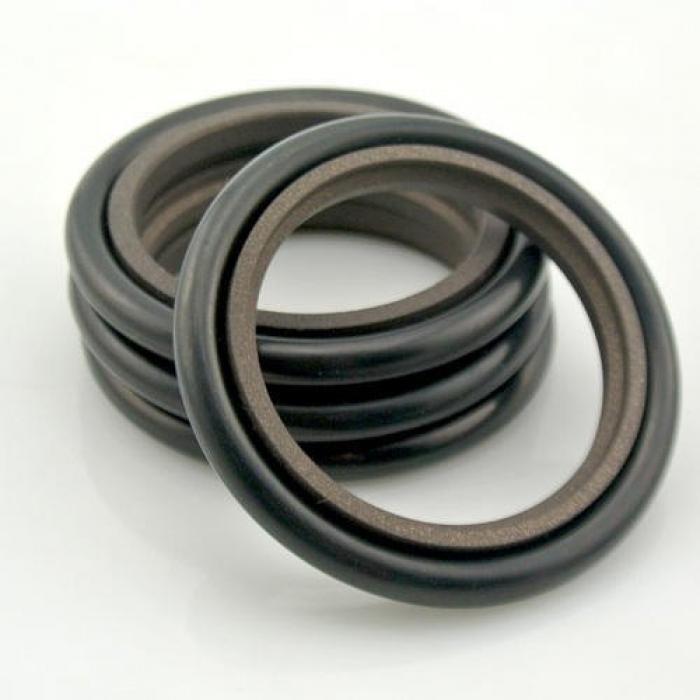 PTFE Hydraulic Seals